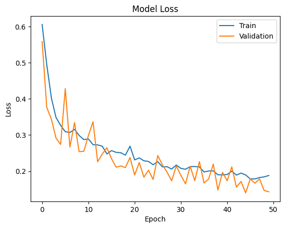 Binary Custom Model Loss